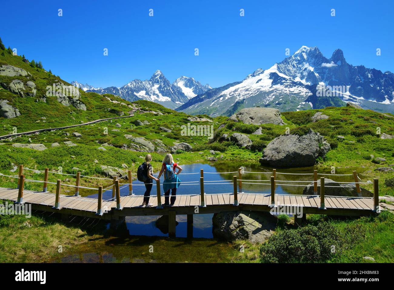Idílico paisaje con la cordillera del Mont Blanc en días soleados. Excursionistas de viaje en la Reserva Natural Aiguilles Rouges, Alpes franceses, Francia, Europa. Foto de stock