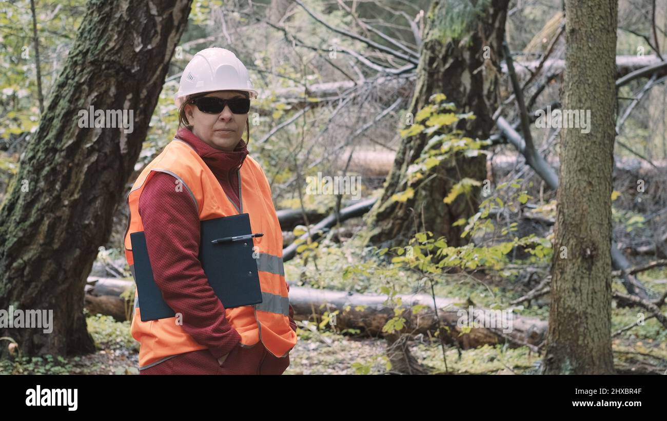 La ecologista femenina documenta daños en el bosque después del huracán, talando árboles alrededor Foto de stock