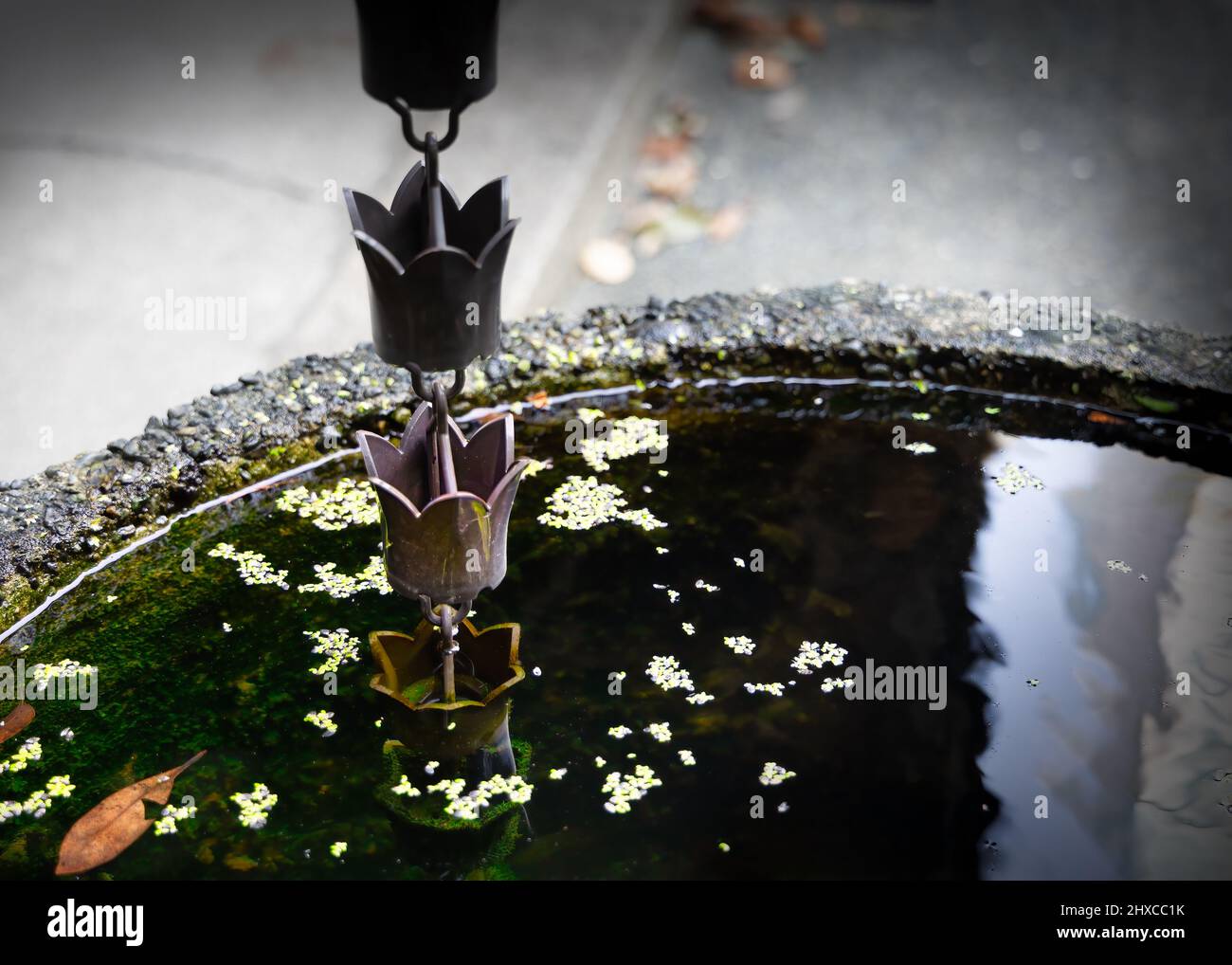 Rain catcher fotografías e imágenes de alta resolución - Alamy