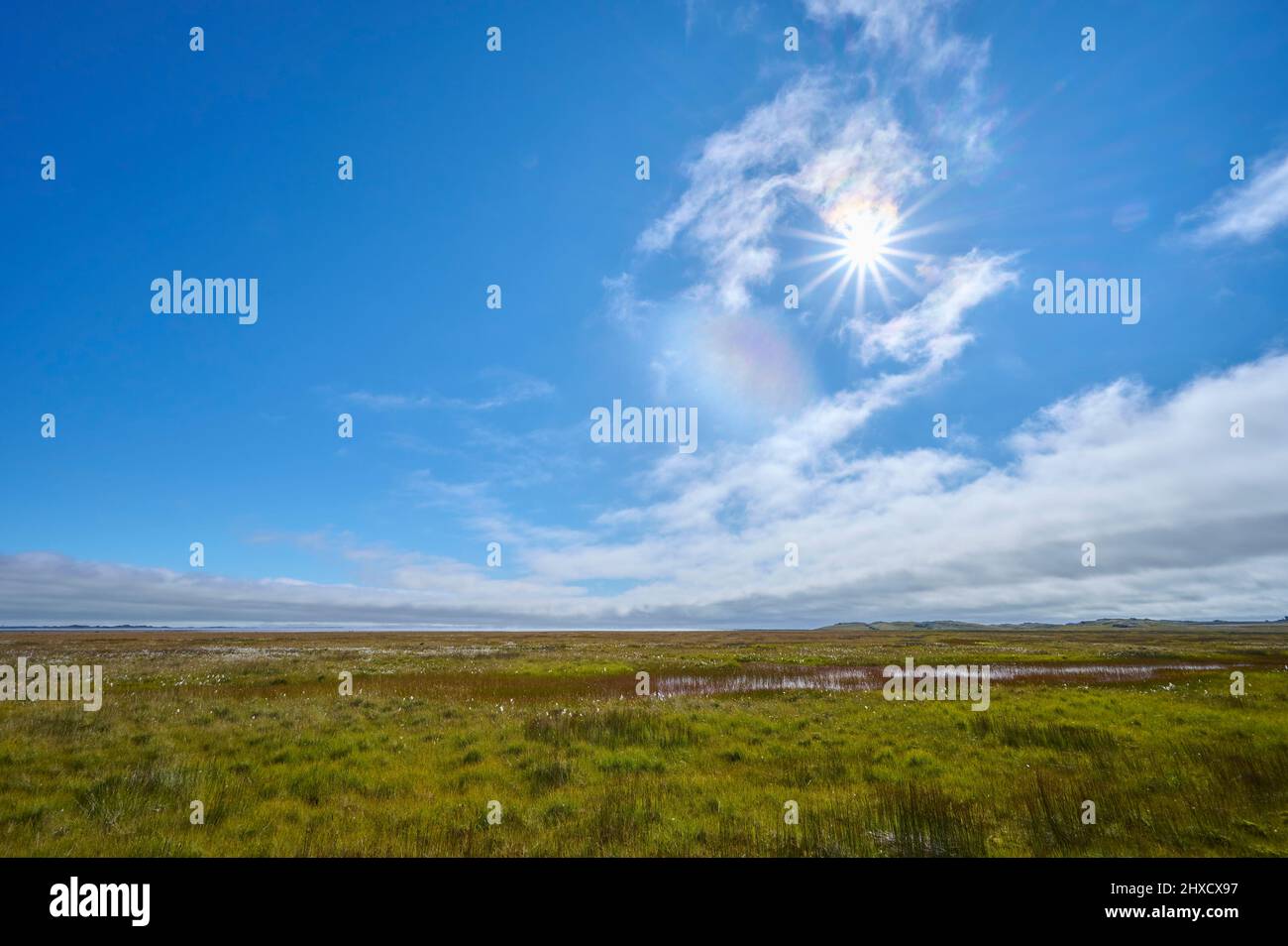 Landschaft, Sommer, Suðurnes, Sudurland, Isla Foto de stock