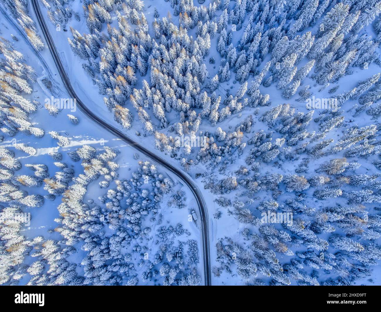 Europa, Italia, Veneto, provincia de Belluno, Dolomitas, carretera de montaña que cruza un bosque de coníferas después de una nevada, vista desde arriba Foto de stock