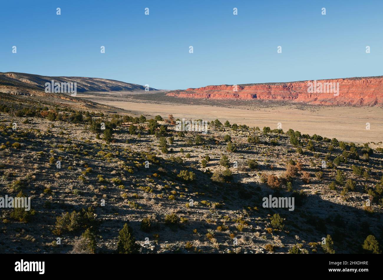 Vista panorámica saliendo del Bosque Nacional Kaibab hacia el Monumento Nacional Vermilion Cliffs en el norte de Arizona Foto de stock