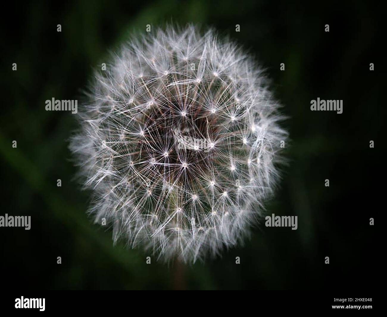 Fondos para fotógrafos fotografías e imágenes de alta resolución - Alamy