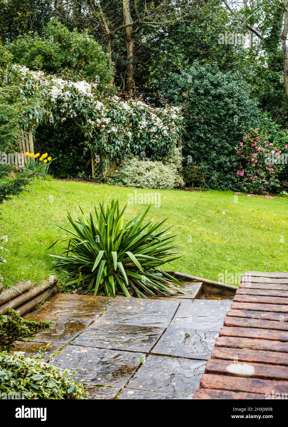 Un día lluvioso en un jardín rural inglés. Foto de stock