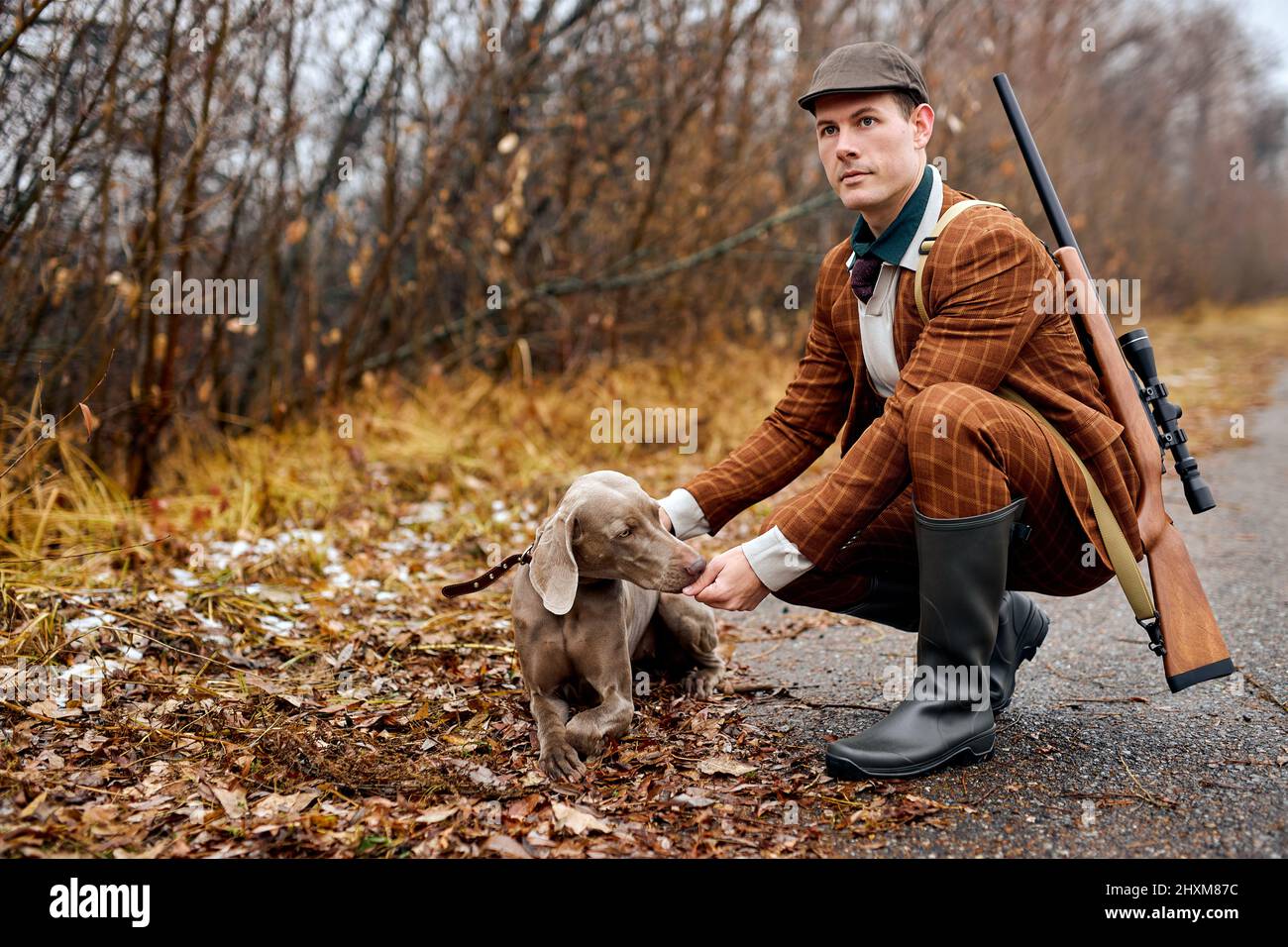 El tipo europeo caucásico con estilo en traje marrón de moda alimenta la raza de perros weimaraner antes de cazar, camina por los bosques del campo. Entrenamiento de perros de caza. p Foto de stock