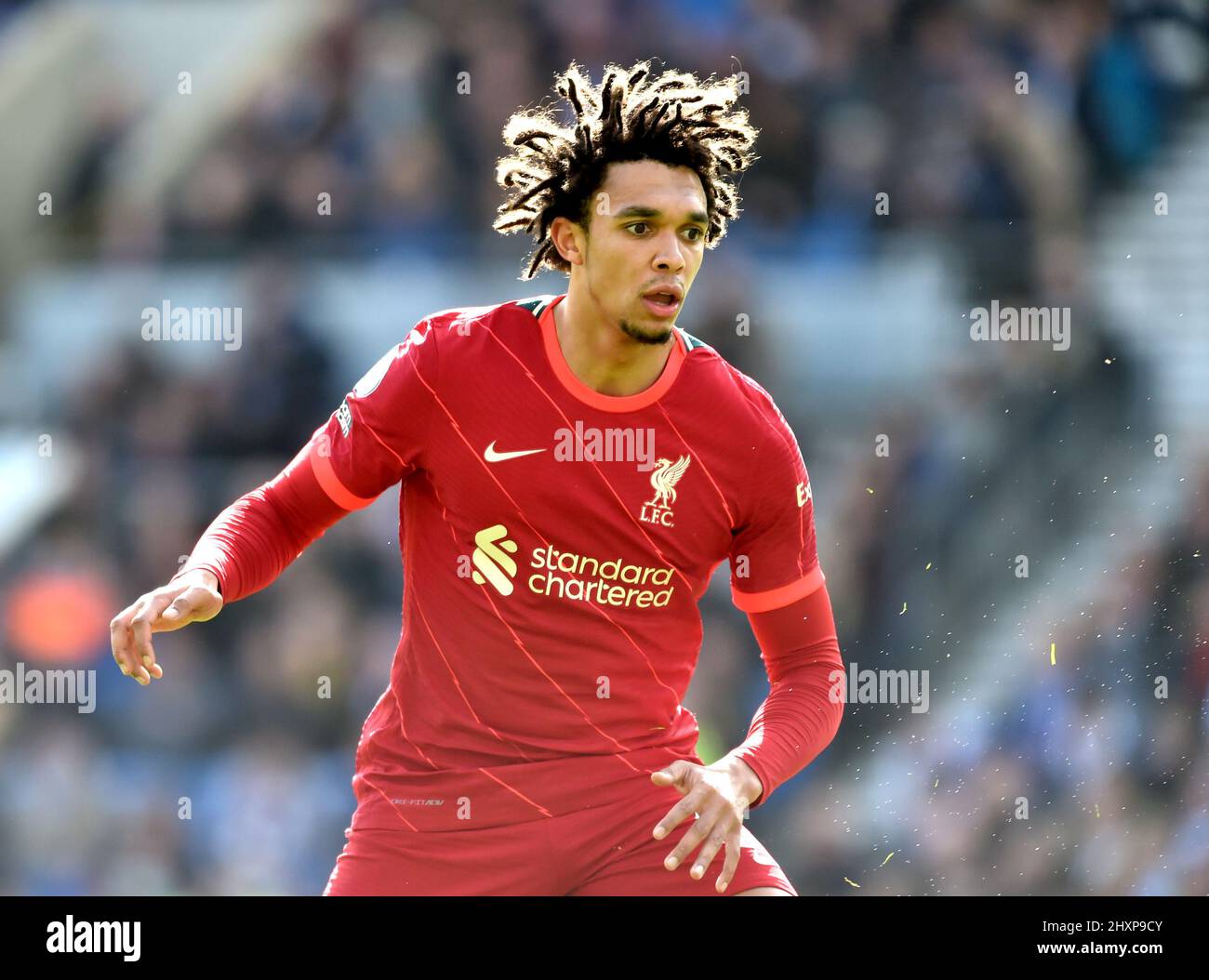 Trent alexander arnold futbolista fotografías e imágenes de alta resolución Alamy