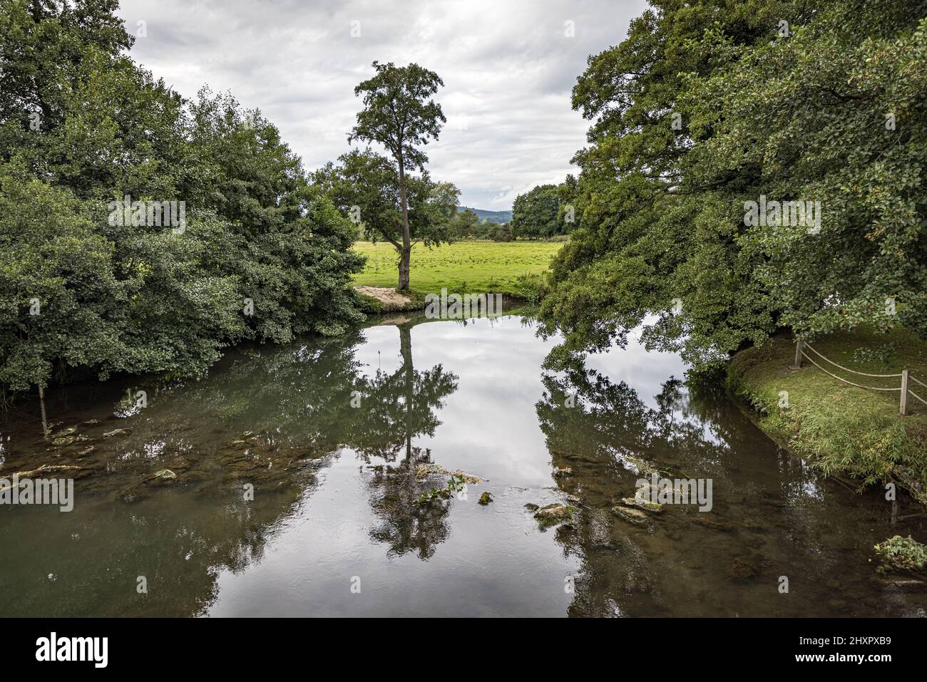 Reflexiones sobre el río Terne, Leintwardine, Herefordshire, Inglaterra Foto de stock