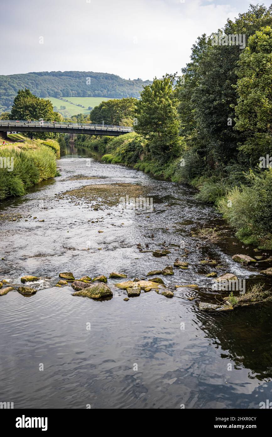 Río Monnow, ribera y árboles, Monmouth, Gales Foto de stock