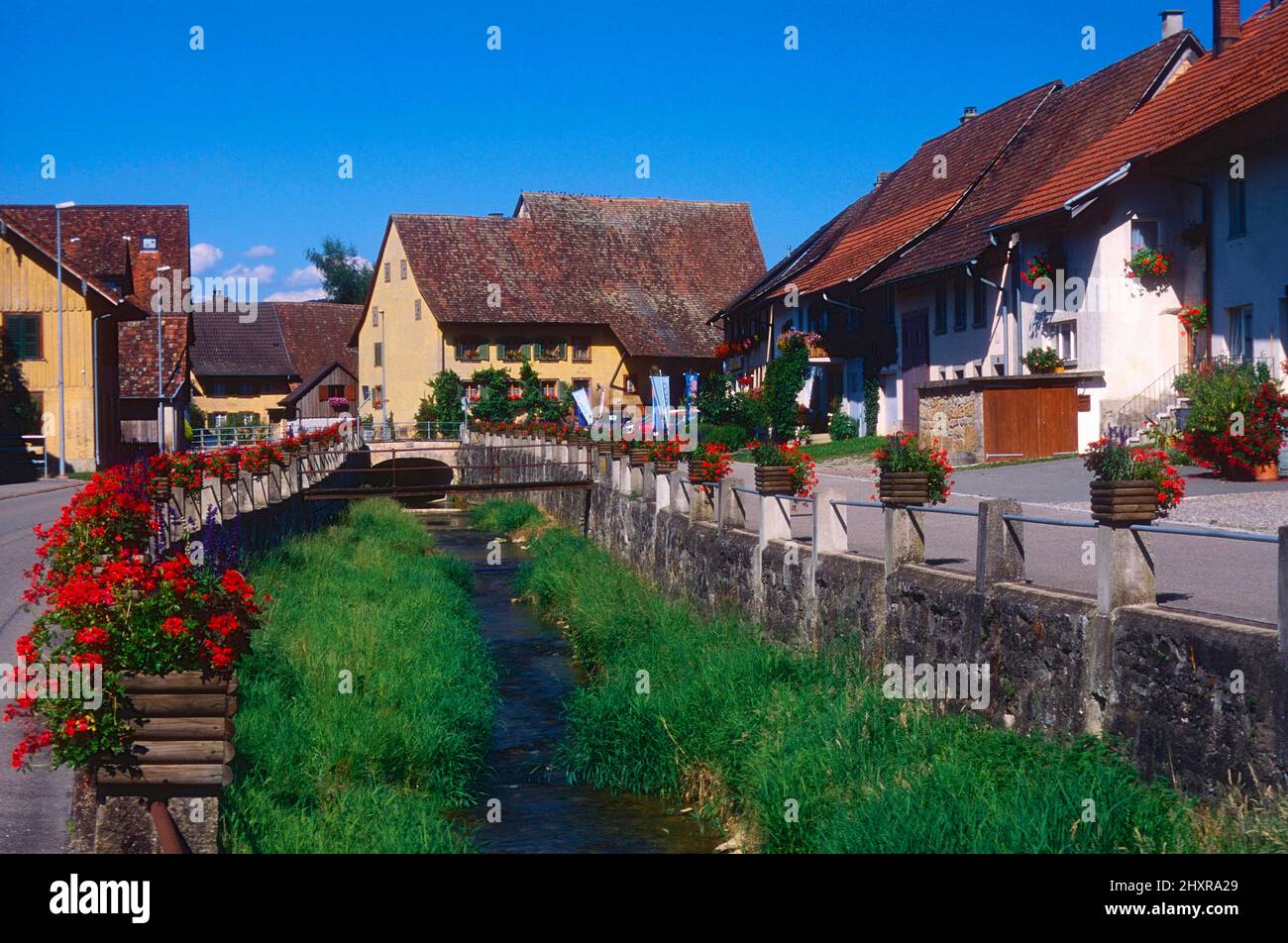Schleitheim, Dorf, Bach, Blumendekoration, Geranien, Kanton Schaffhausen, Schweiz Foto de stock