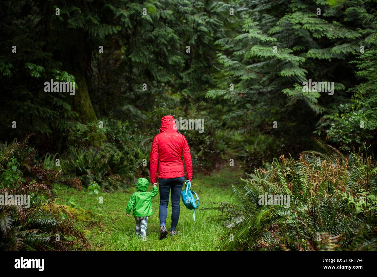 Una mujer en chubasquero camina al bosque con un niño pequeño Foto de stock