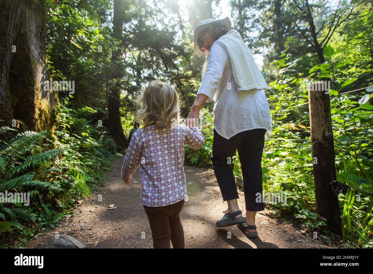 Una abuela sostiene la mano de su nieto en el sendero del bosque Foto de stock