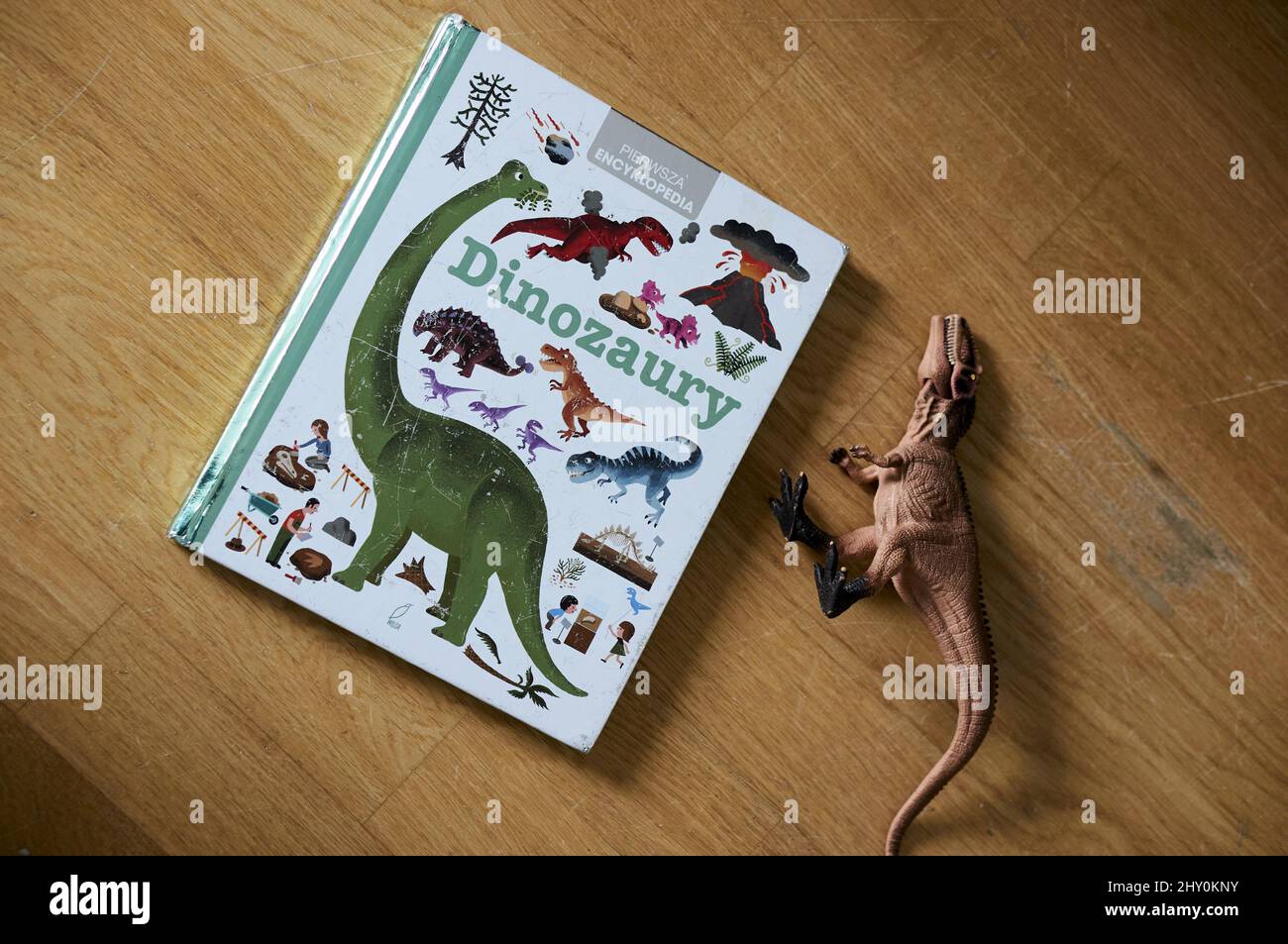 Libro polaco sobre Dinosaurios para niños que se ponen junto a una figura  de juguete Giganotosaurus de la marca Schleich Fotografía de stock - Alamy