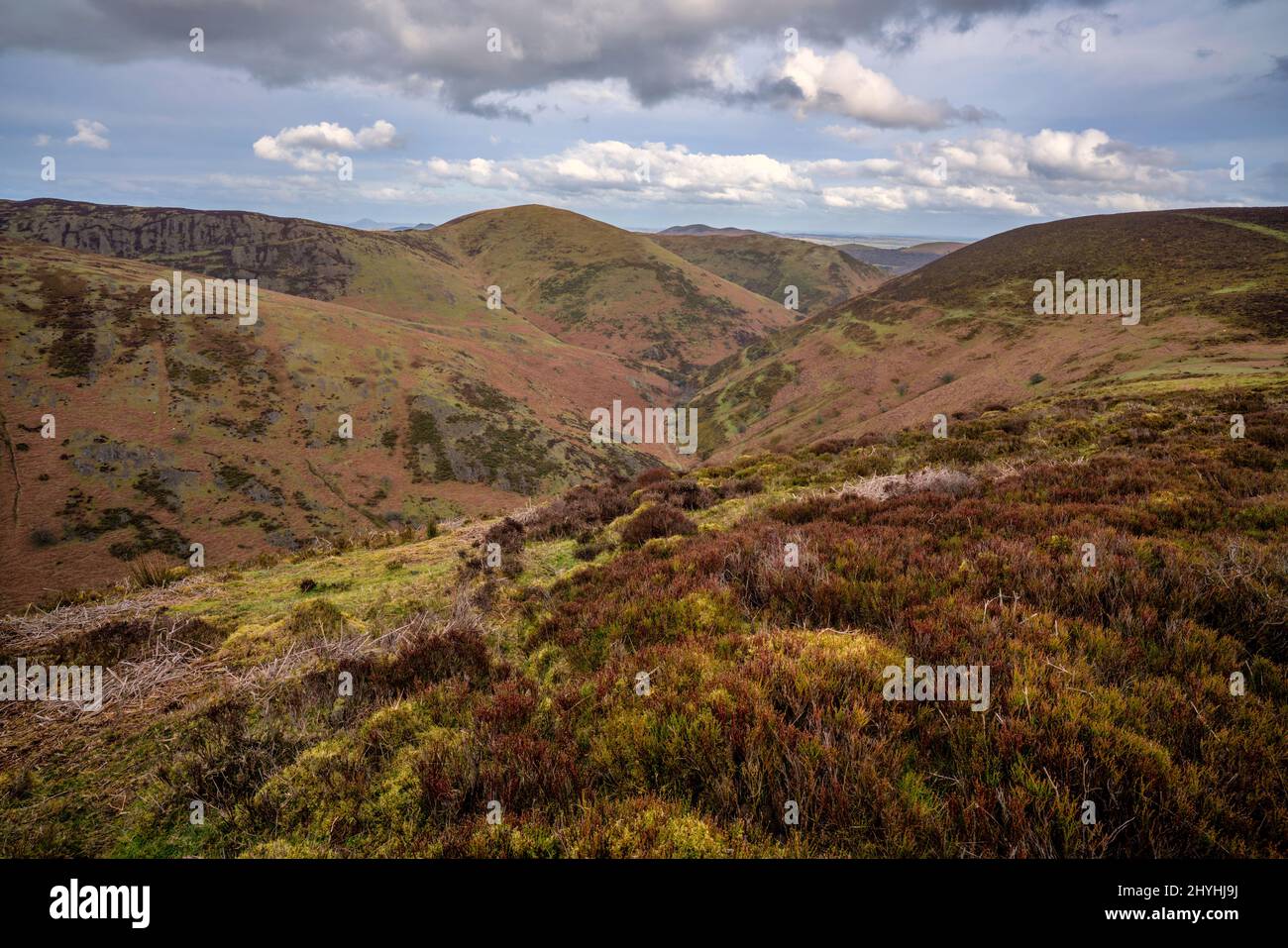 Valle entre Grindle Hill y Yearlet Hill en Shropshire Hills, Inglaterra Foto de stock