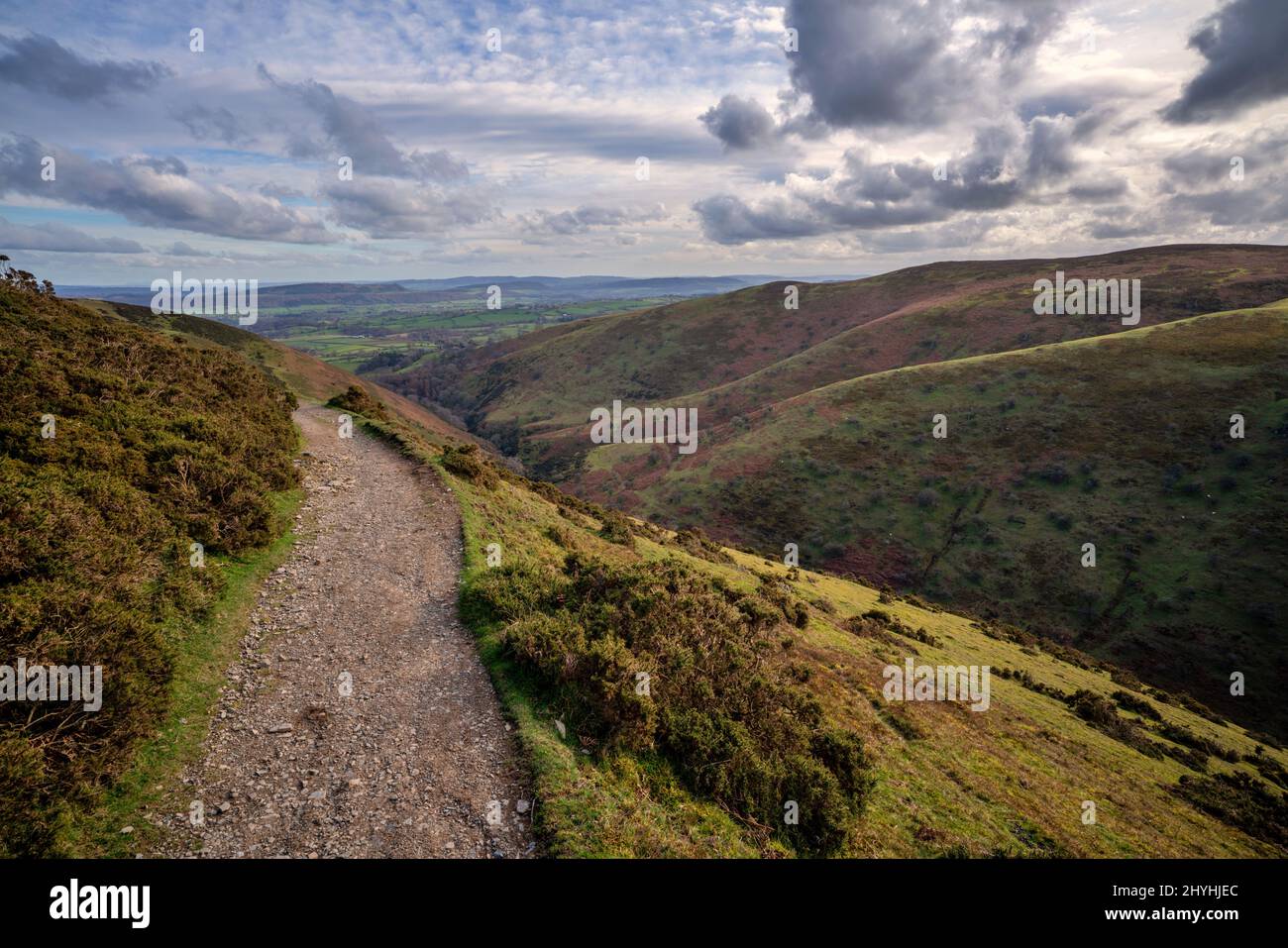 Sendero de senderismo que rodea el borde de la colina de Grindle en las colinas de Shropshire, Inglaterra Foto de stock