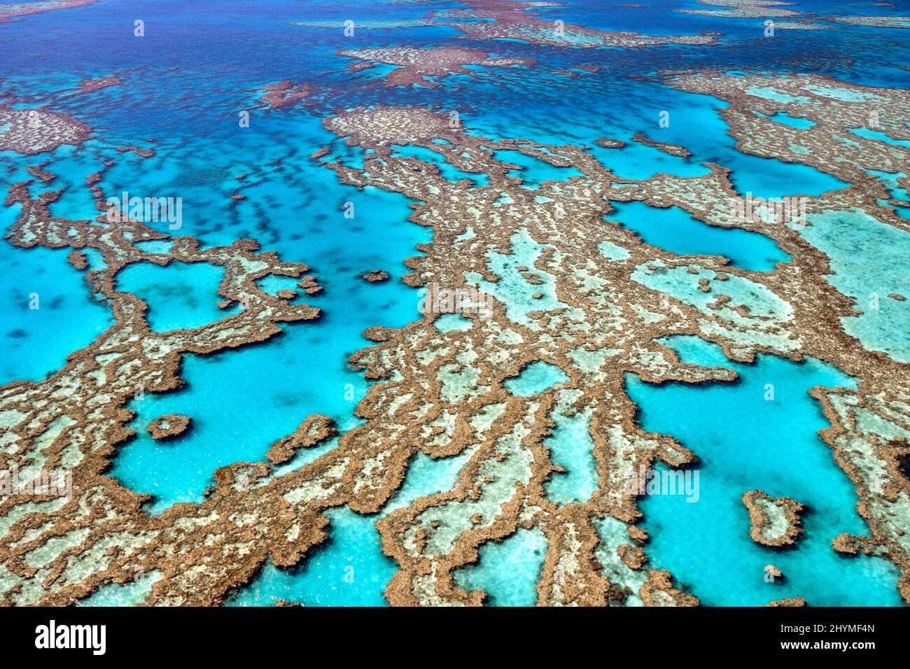 Gran Barrera de Coral, vista aérea, Australia Foto de stock