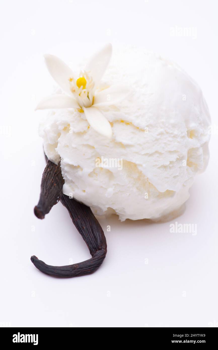 Una cucharada de helado de vainilla con un frijol de vainilla aislado sobre fondo blanco Foto de stock