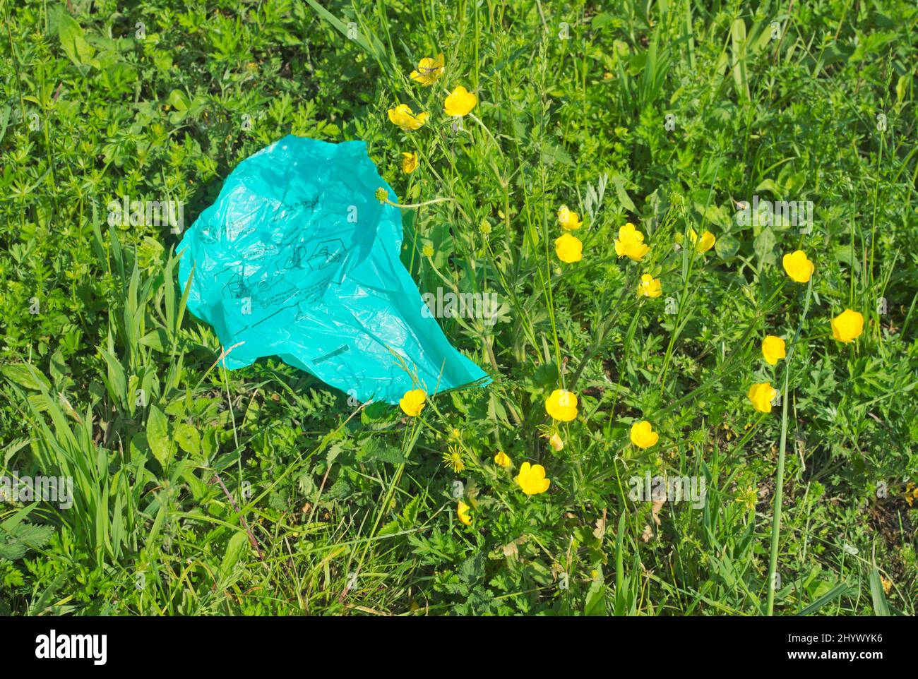 plástico abandonado en el campo de floración Foto de stock