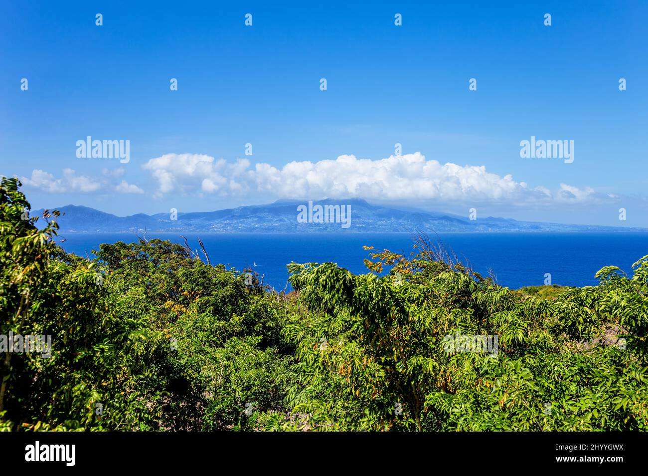 Isla Basse-Terre, Guadalupe, Kleine Antillen, Caribe. Foto de stock