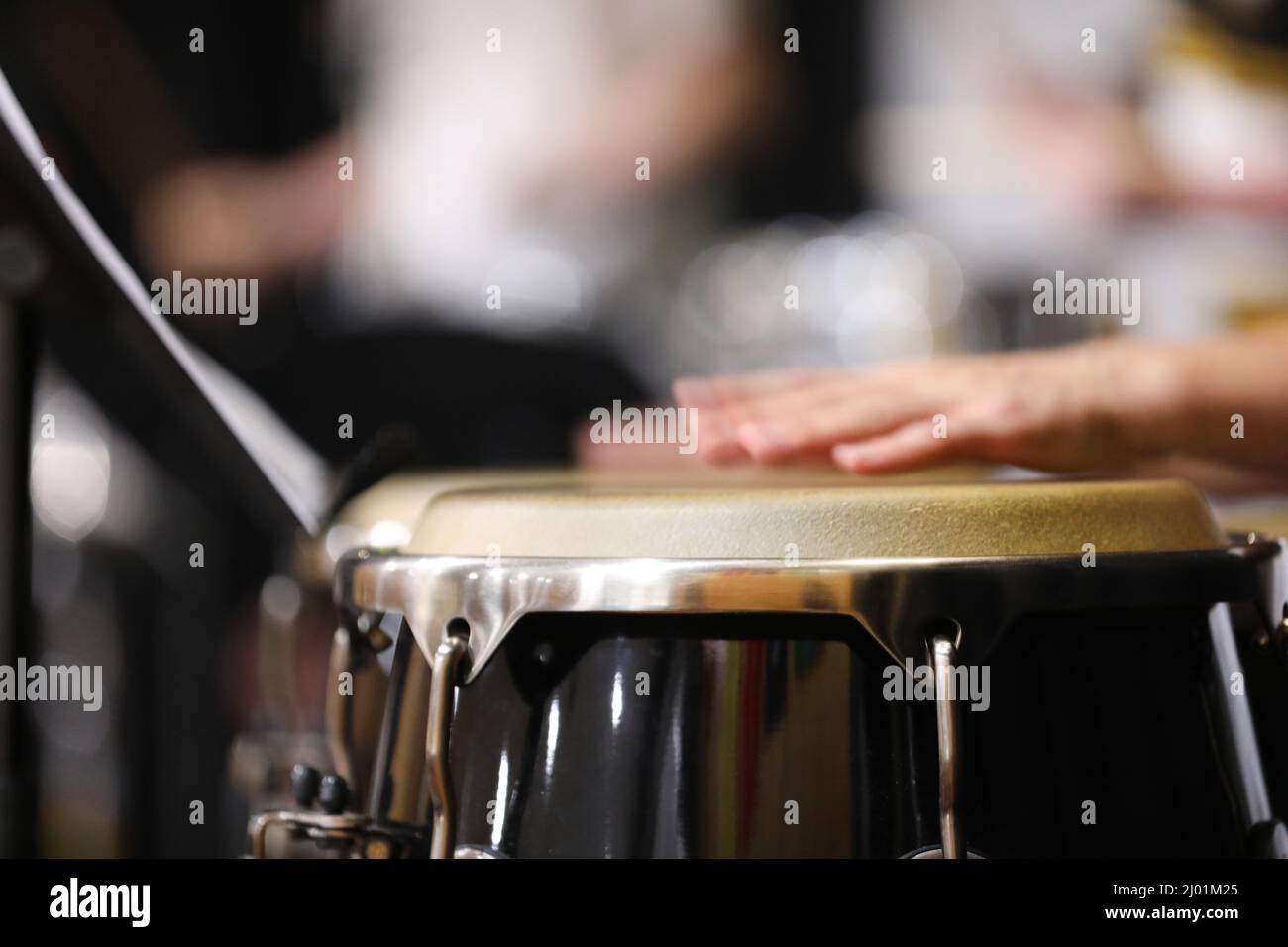 Un primer plano de manos moviéndose o en movimiento tocando los tambores de estilo congas o bongo en una sección de percusión de una banda o orquesta. Piel del tambor enfocada. Foto de stock