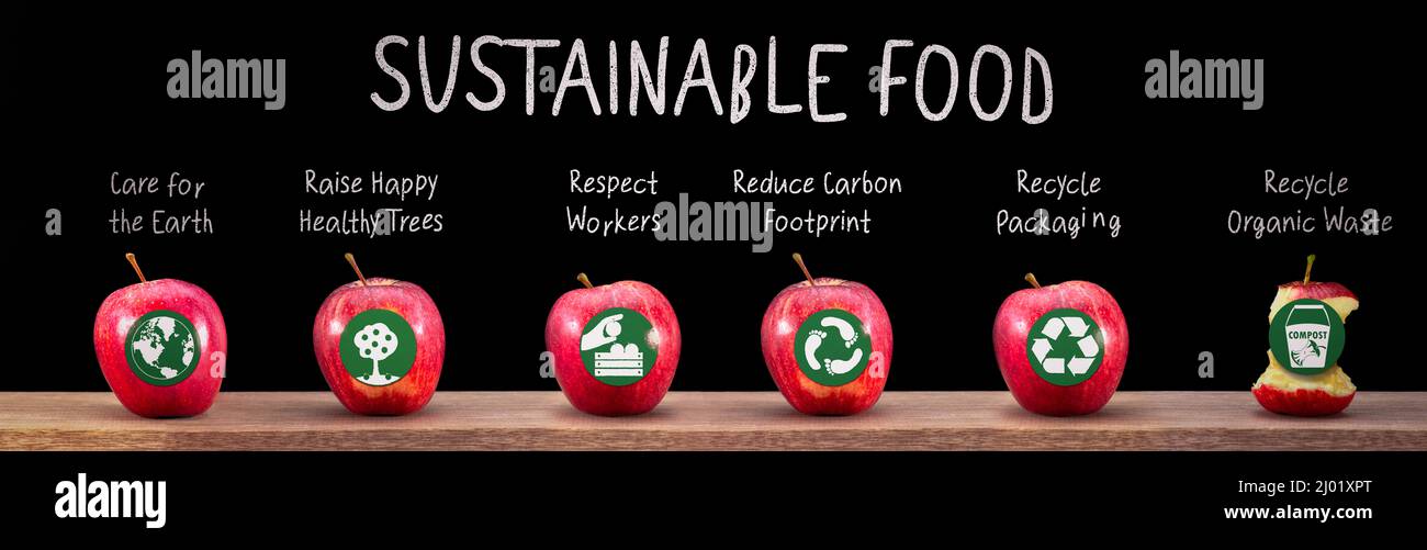 Etiquetas e iconos de alimentos sostenibles sobre las manzanas, información medioambiental y ética para el consumidor Foto de stock