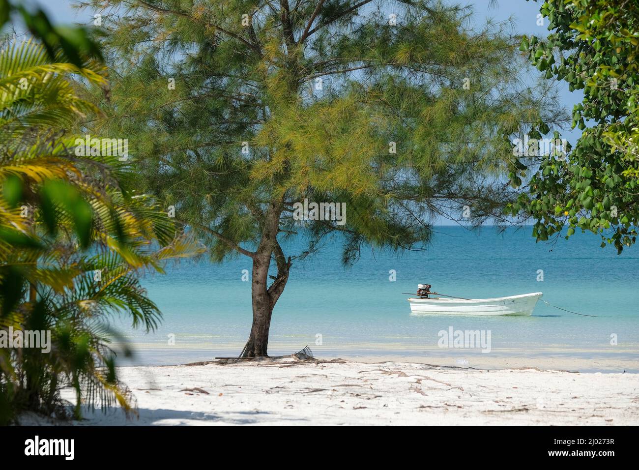 Playa de la bahía de Saracen en la isla Koh Rong Samloem en Camboya. Foto de stock