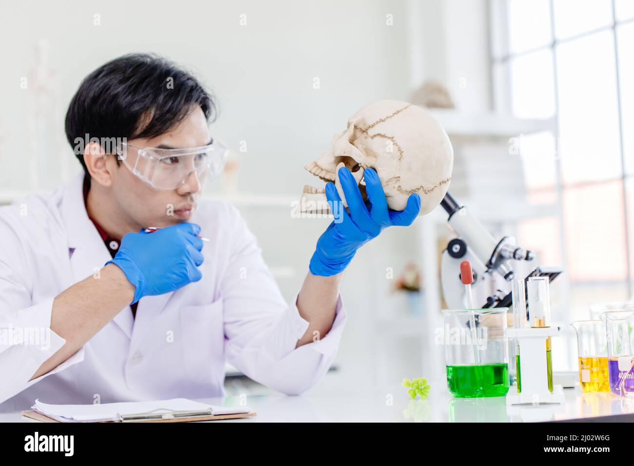 Científico antropología física en el laboratorio de ciencias biológicas que estudia hueso humano mirar maravilla en el cráneo para estudiar la edad de la cabeza antigua Foto de stock