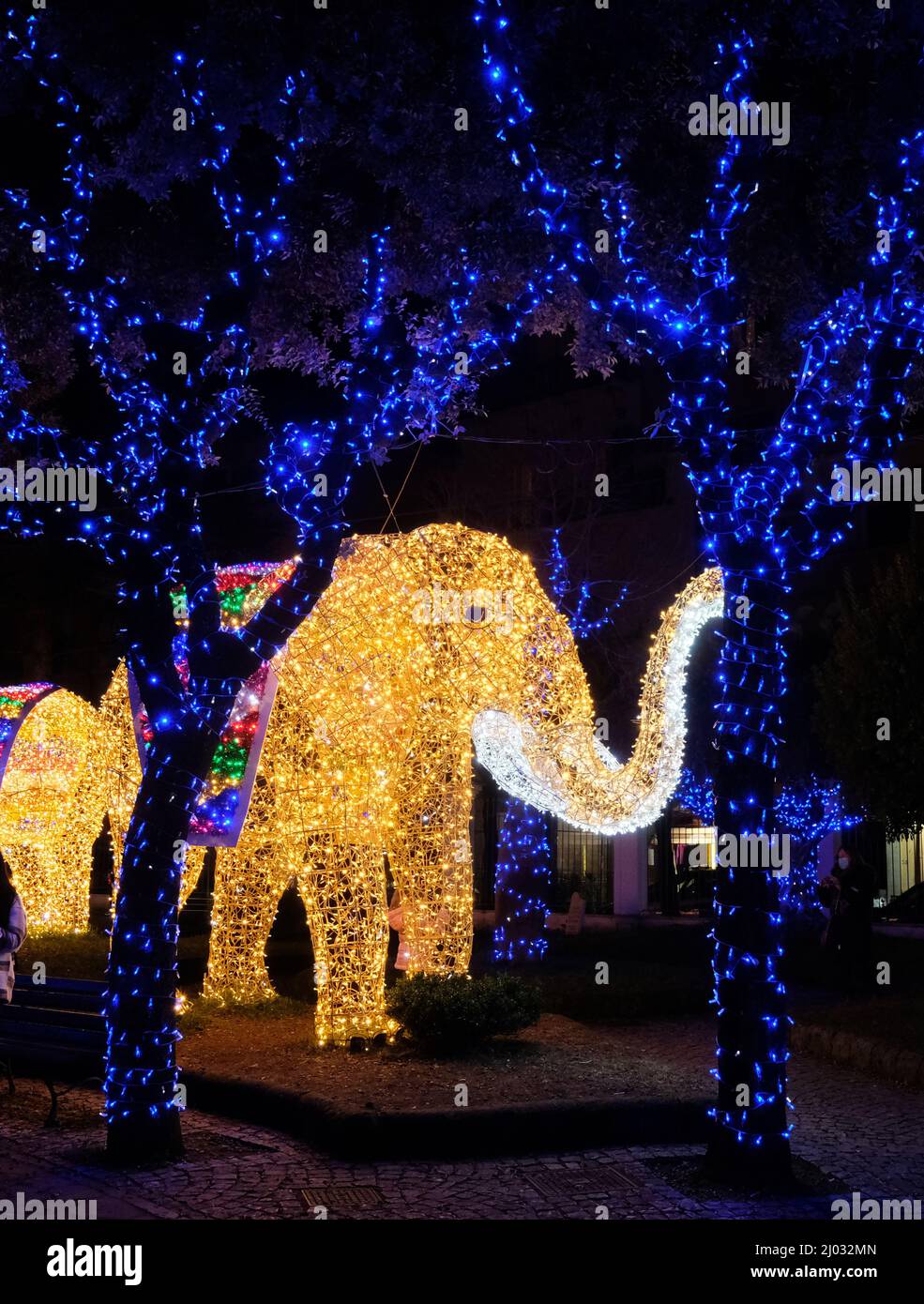 Luces de Navidad en Gaeta, 2021 de diciembre, Lazio, Italia. Representación de un elefante Foto de stock