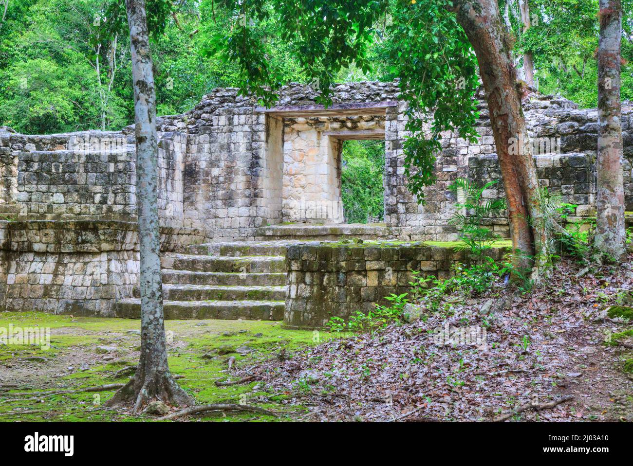 Portal, Estructura IV-B, Zona Arqueológica Balamku, Ruinas Mayas, Estado de Campeche, México, Norteamérica Foto de stock