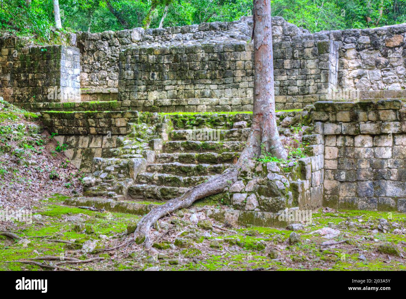 Estructura IV-B, Zona Arqueológica Balamku, Ruinas Mayas, Estado de Campeche, México, América del Norte Foto de stock