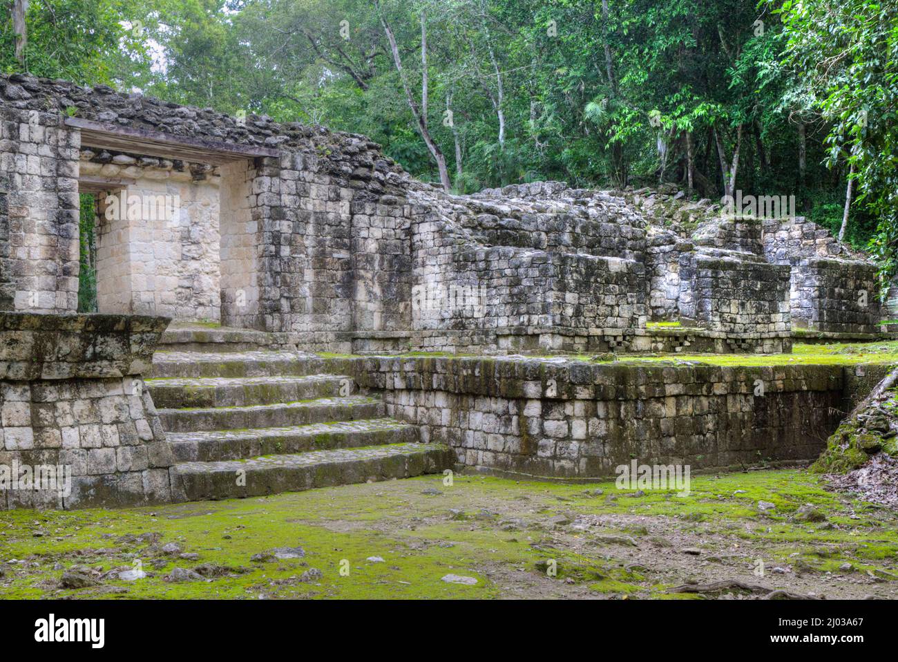 Portal, Estructura IV-B, Zona Arqueológica Balamku, Ruinas Mayas, Estado de Campeche, México, Norteamérica Foto de stock