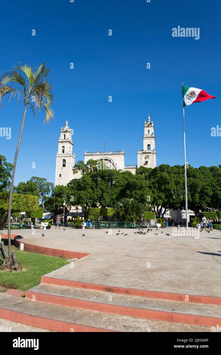 Bandera mexicana, Plaza Grande, Catedral de Iidefonso al fondo, Mérida, Estado de Yucatán, México, Norteamérica Foto de stock