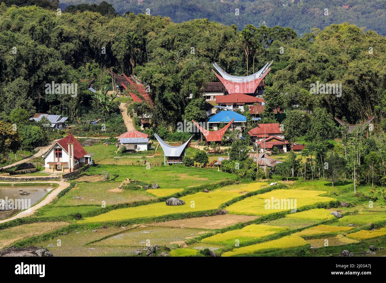 Iglesia y casas tongkonanas en Lempo en medio de los arrozales de Batutumonga, Batutumonga, Rantepao, Toraja, Sulawesi del Sur, Indonesia Foto de stock
