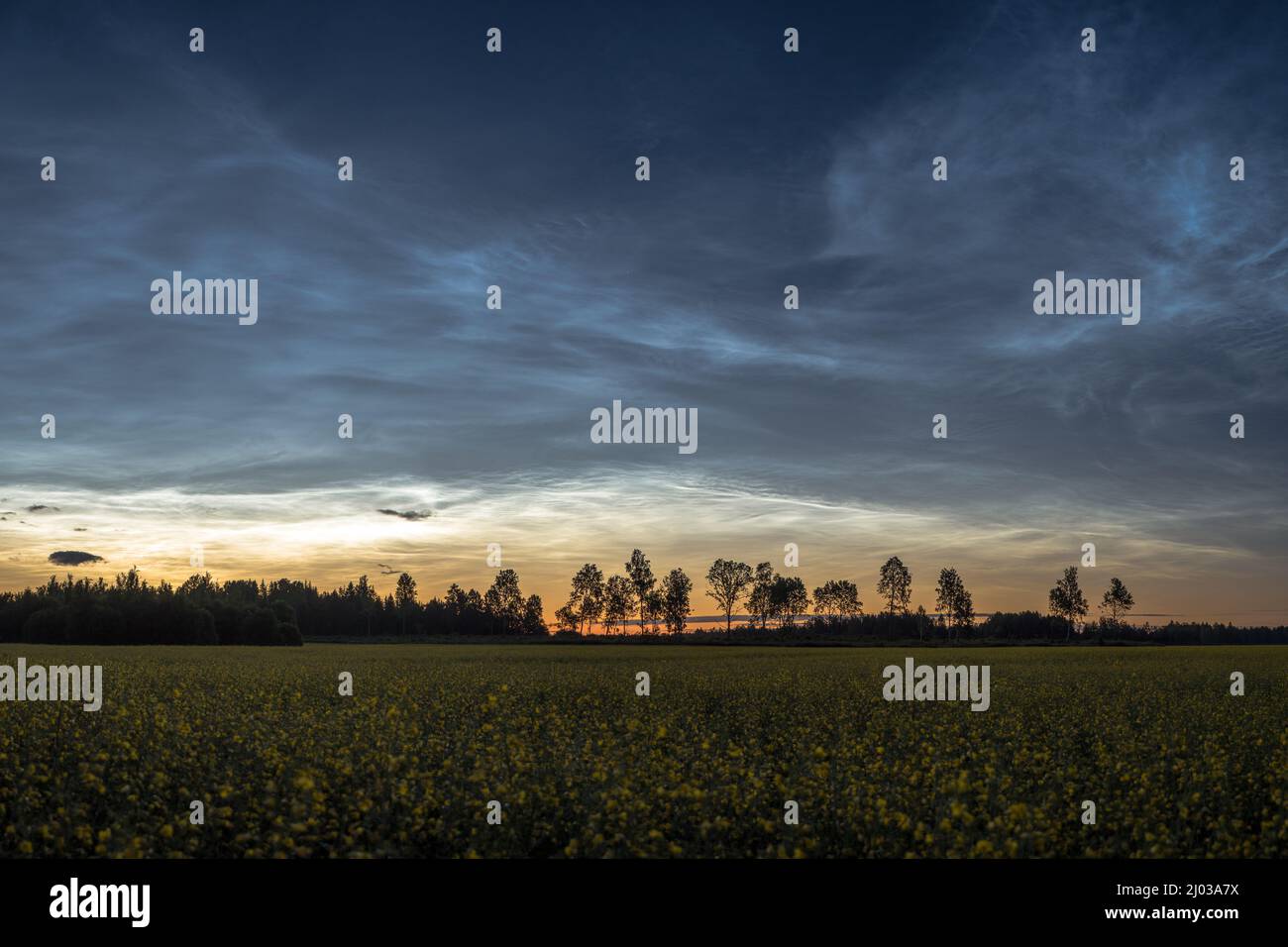 Noche de verano con cielo lleno de nubes noctilucentes Foto de stock
