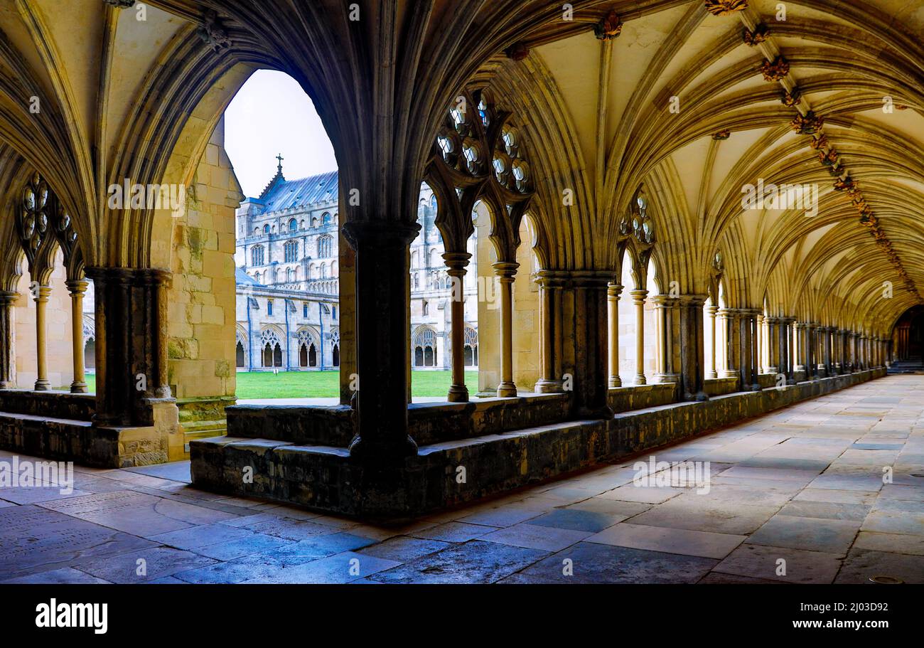 Los claustros en la catedral de Norwich. Foto de stock