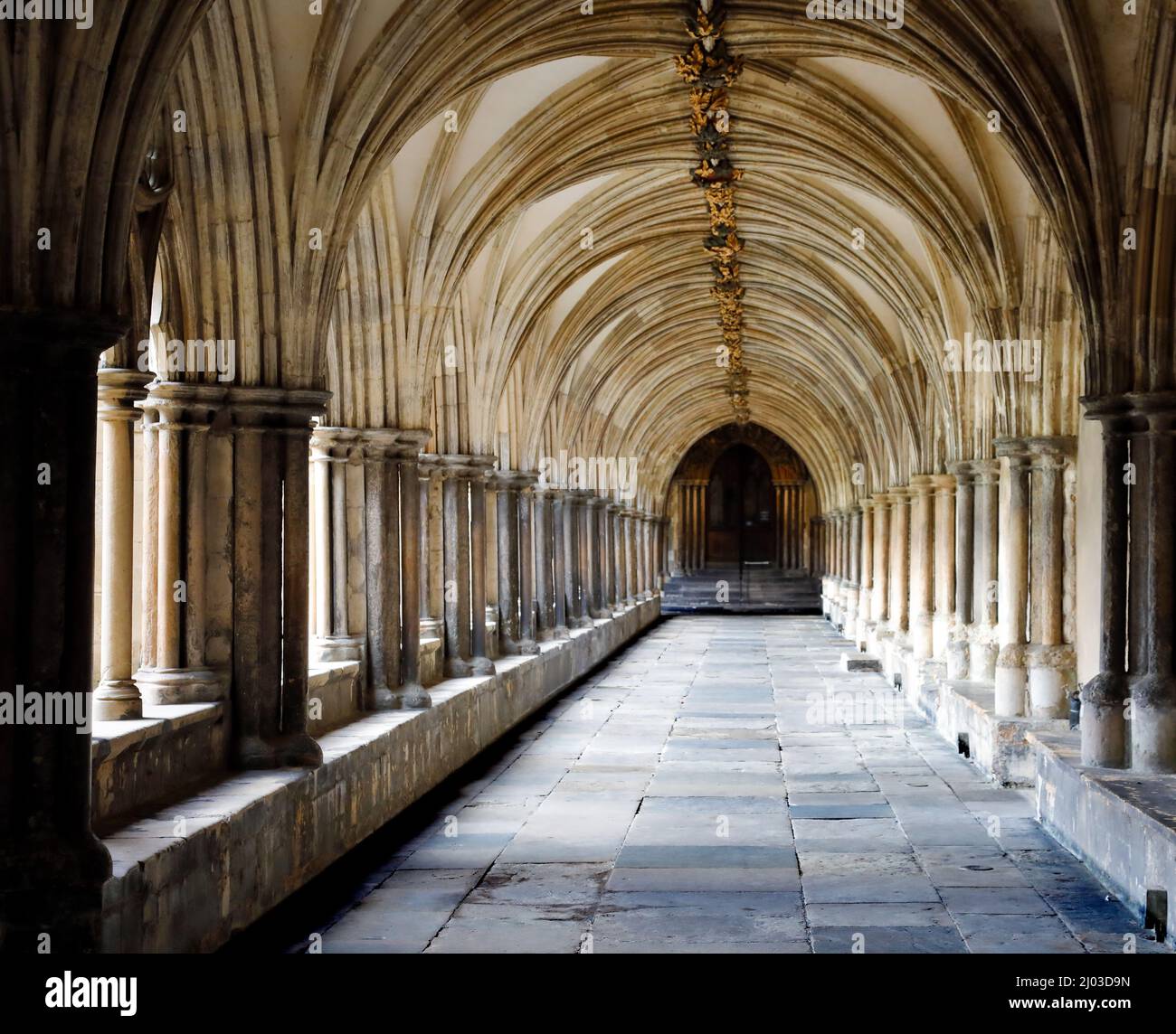Los claustros en la catedral de Norwich. Foto de stock
