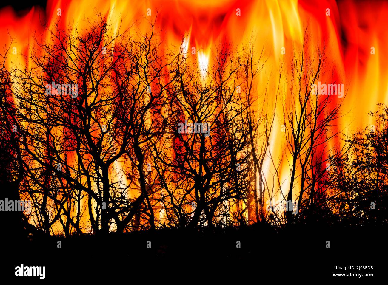 Incendio por cambio climático Foto de stock