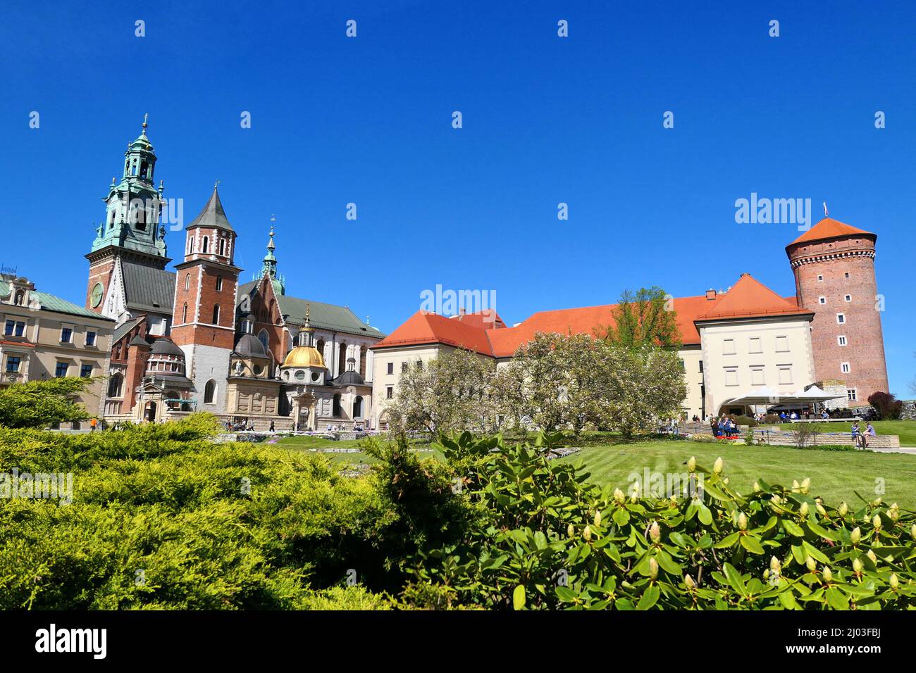 Cracovia, castillo de Wawel en primavera en Polonia, Europa. Foto de stock