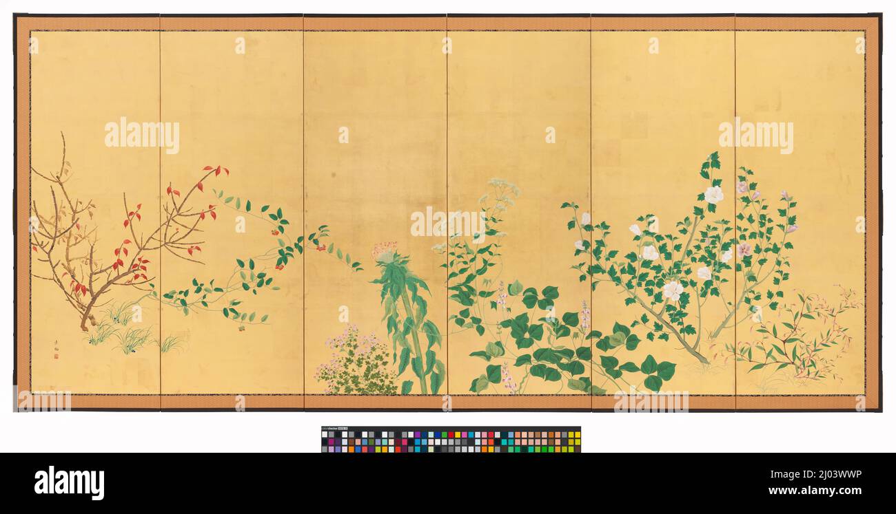 Flores y plantas de las Cuatro Estaciones. Yamaguchi Soken (Japón, 1759-1818). Japón, finales de 18th-principios del siglo 19th. Pinturas; pantallas. Una de un par de pantallas de seis paneles; tinta y color en papel de hoja dorada Foto de stock
