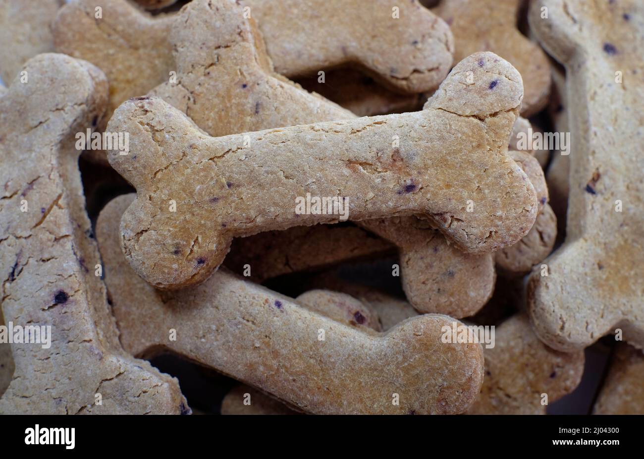 primer plano de galletas de perro pequeñas en forma de hueso Foto de stock