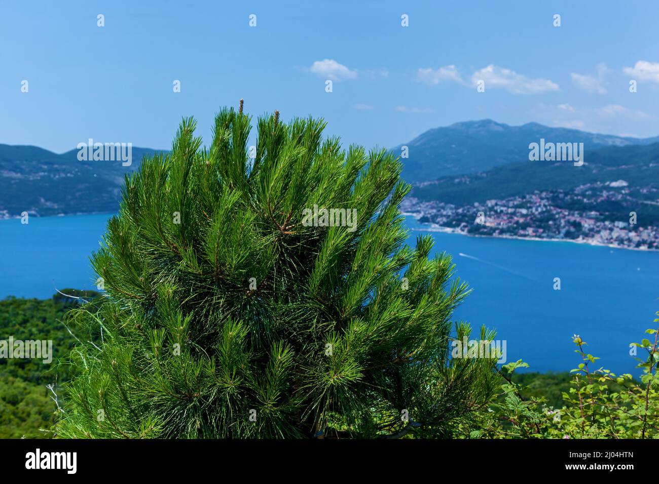 Hermosos paisajes marinos, montañas y naturaleza en Montenegro Foto de stock