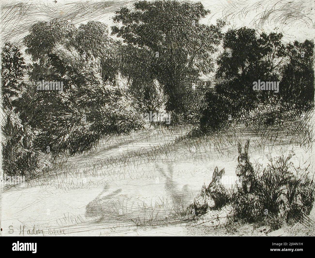 Combe abajo. Sir Francis Seymour Haden (Inglaterra, Londres, 1818-1910). Inglaterra, 1860. Impresiones; grabados. Grabado y punto seco Foto de stock