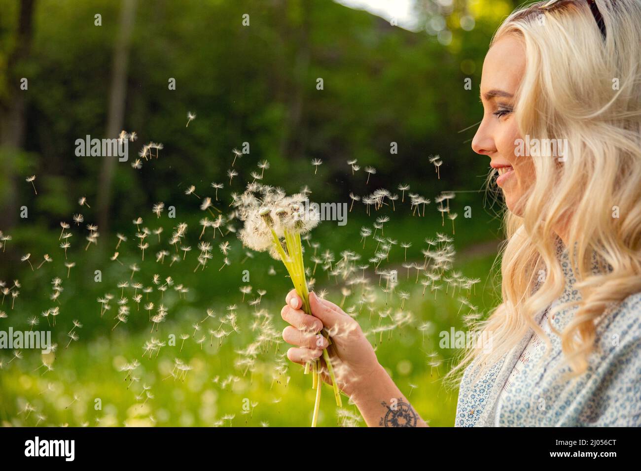 Primer plano de la joven mujer mirando a Flying Dandelion Seeds Foto de stock
