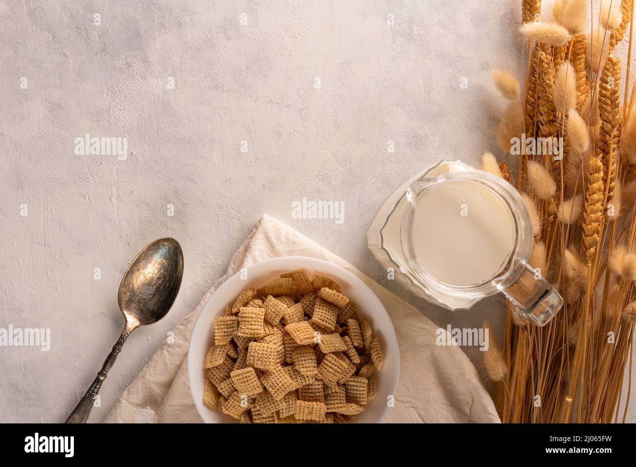 Las almohadillas crujientes de grano entero en un tazón, la leche y un  manojo de cereales en un fondo blanco. Vista de ángulo bajo. El concepto es  cereales de desayuno rápido, saludable
