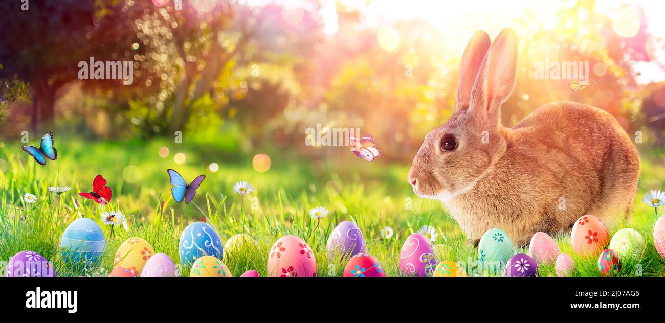 Conejito de Pascua - Huevos decorados y Conejo de Yute en la pradera de Primavera Soleada con luces abstractas desempleadas Foto de stock