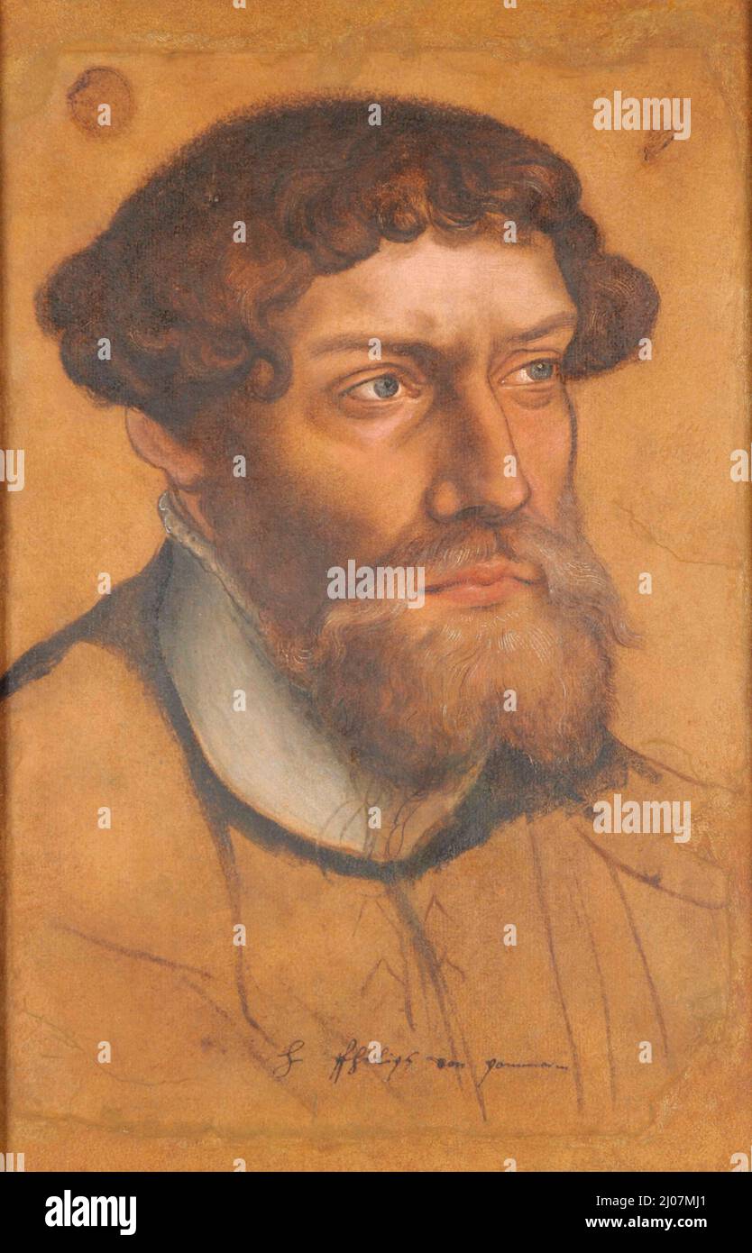 Retrato del duque Felipe I de Pomerania-Wolgast (1515-1560). Museo: Musée des Beaux-Arts, Reims. AUTOR: LUCAS CRANACH EL JOVEN. Foto de stock