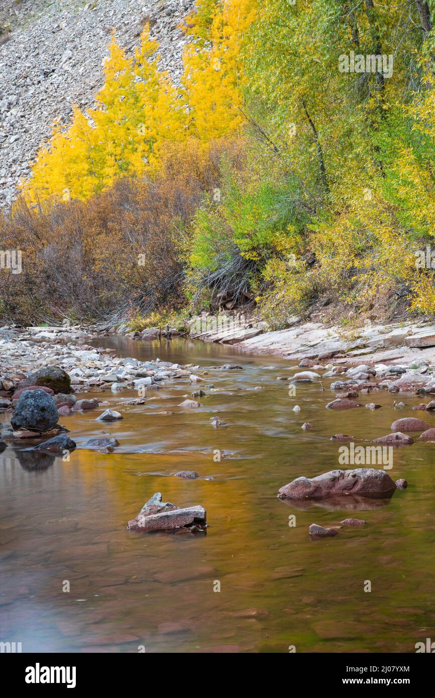 Estados Unidos, Montañas Rocosas, Colorado, Durango, Bosque Nacional San Juan, Creek Foto de stock