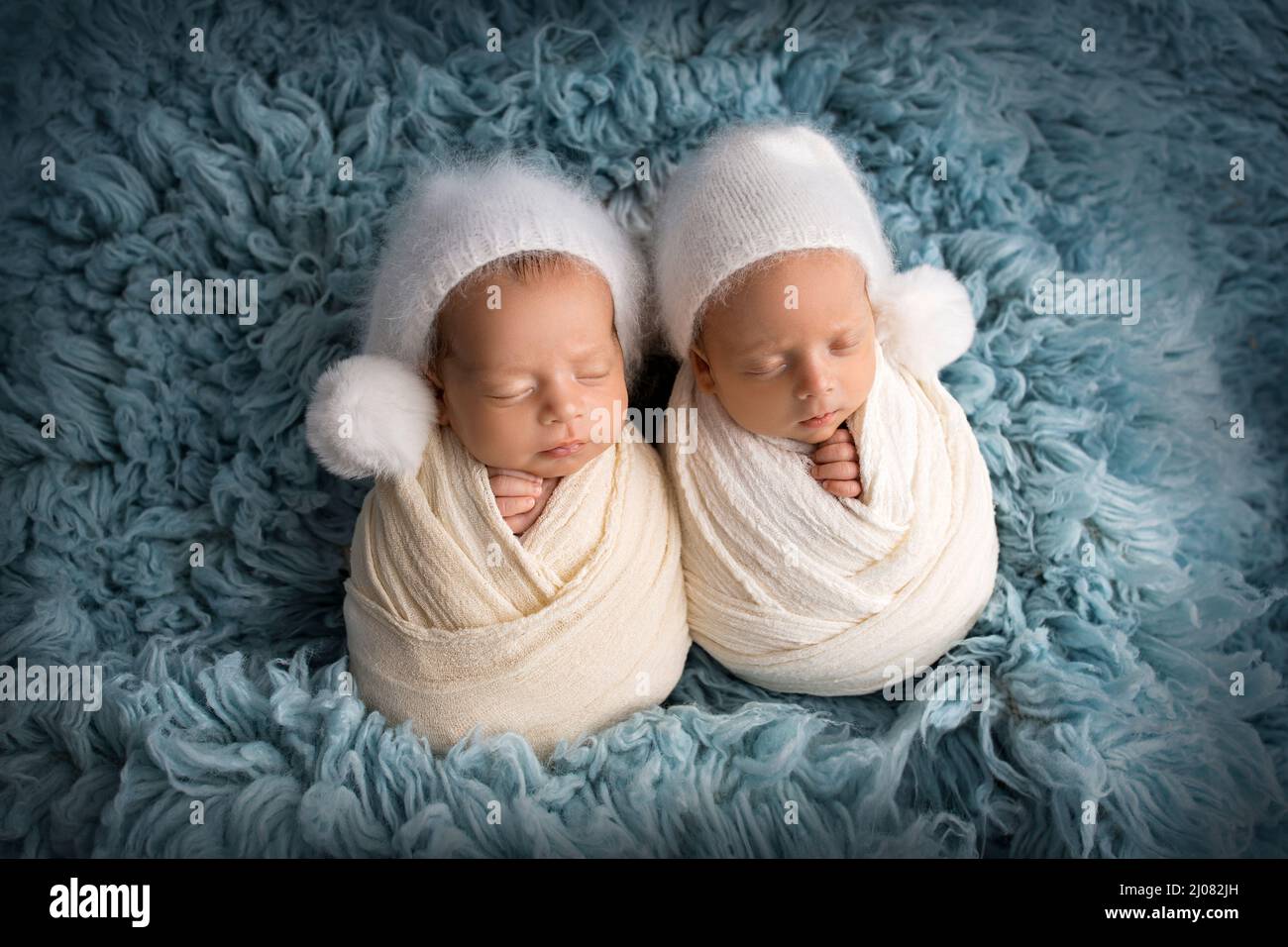 Niños pequeños recién nacidos gemelos en capullos blancos sobre fondo azul  en gorros blancos. Estudio de fotografía profesional de gemelos recién  nacidos Fotografía de stock - Alamy