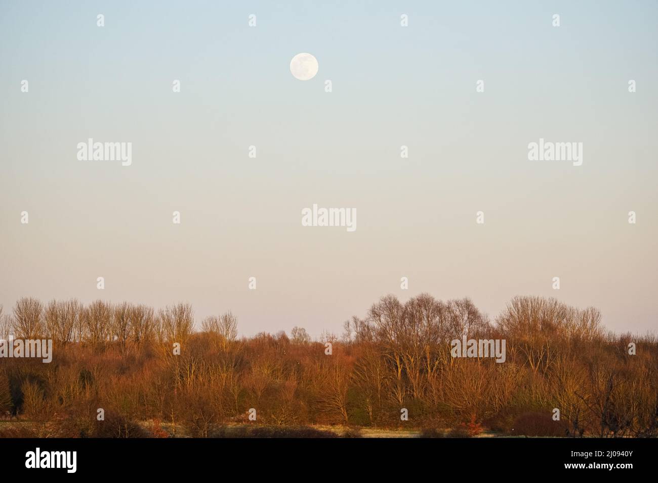 Rainsham, Essex, Reino Unido. 17th Mar, 2022. Clima en el Reino Unido: 99% de luna gibbosa encerada que se eleva sobre Rainham, Reino Unido Crédito: Marcin Rogozinski/Alamy Live News Foto de stock