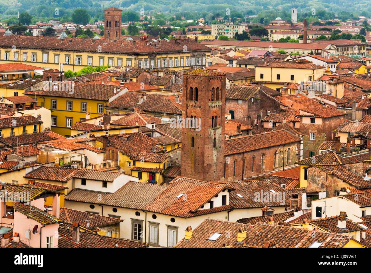 Vista de las casas de techo rojo de Lucca, la provincia de Lucca, la región de Toscana, Italia Foto de stock
