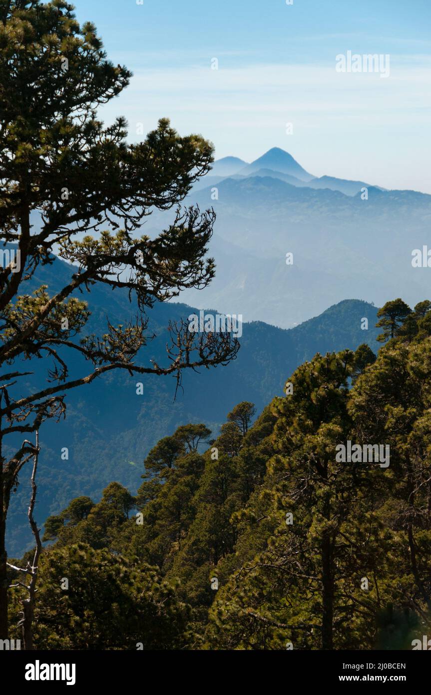 árboles muy lejos fotografías e imágenes de alta resolución - Alamy